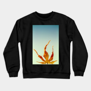 Acer Palmatum Leaf Crewneck Sweatshirt